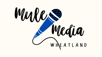 Mule Media