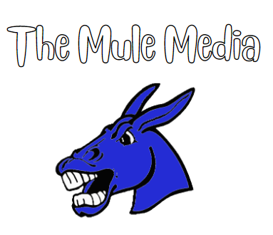 Mule Media