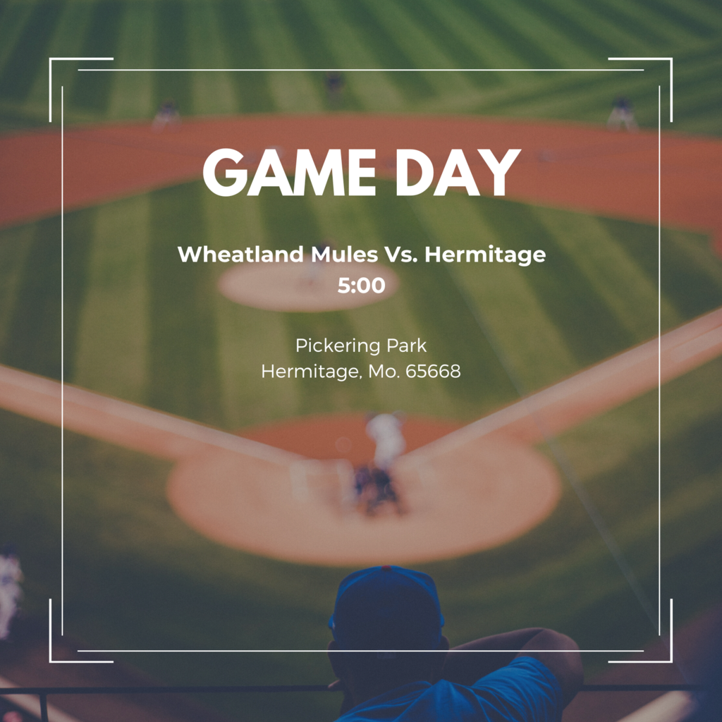 HS Baseball vs Hermitage